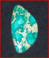 Green Turquoise Cabochon from the Broken Arrow mine in Nevada, USA