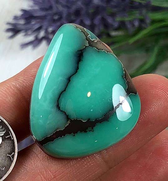 Desert Bloom Variscite Durango Silver Company