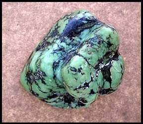 Tortoise Variscite from Nevada