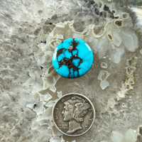 Bisbee Turquoise, cabochon, with chocolate brown webbing