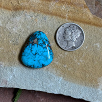 Bisbee Turquoise cabochon, chocolate brown spiderweb matrix