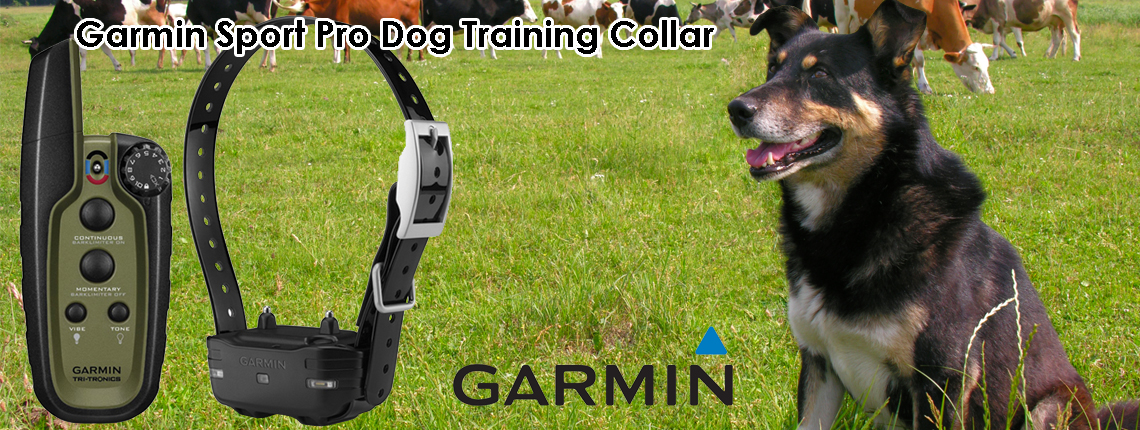 NZ's Best E Collars GPS Dog Tracking, Dog Training & Dog Fencing Collars,