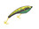 Embroidered Lure Yellow and Green