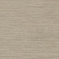 FR01041 - Ferrara Stripe Gold Sand Sketchtwenty3 Wallpaper