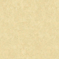 935821 - Versace Plaster Effect Cream Beige AS Creation Wallpaper