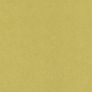 FLRE82387232 - Florescence  Lemon Yellow Plain Casadeco Wallpaper