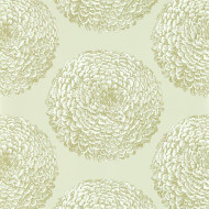 112175 - Momentum 6 Pompom Dahlias Pearl Gilver Harlequin Wallpaper