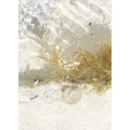 84251526 - Rivage Ocean Floor Beige Casadeco Wallpaper Mural
