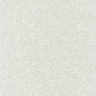 83779224 - Natura Thin Branches Grey Casadeco Wallpaper