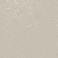 36142 - Patagonia Irregular Shaped Dots Beige Holden Wallpaper