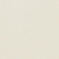 36144 - Patagonia Irregular Shaped Dots Cream Holden Wallpaper