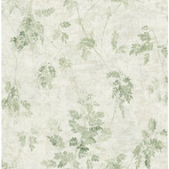 NH20304 - Brockhall Leaves Floral Sage SJ Dixons Wallpaper
