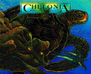 Chelonia: Return of the Sea Turtle