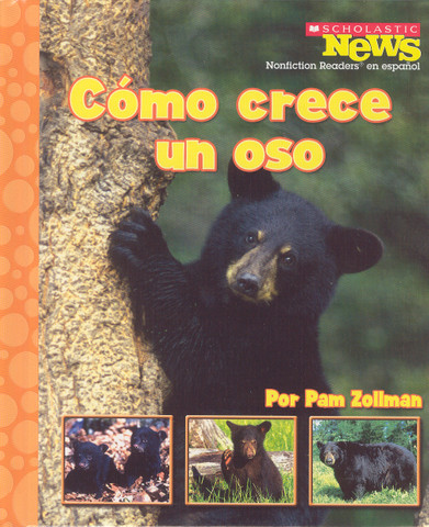 Cómo crece un oso - Bear Cub Grows Up