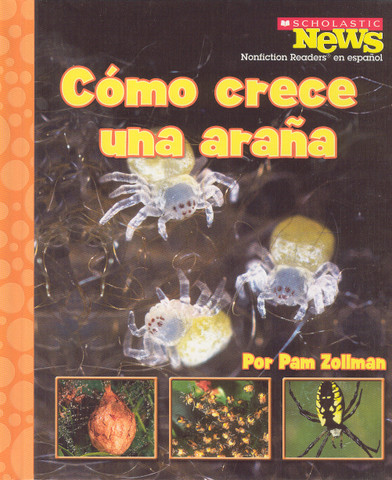 Como crece una araña - Spiderling Grows Up