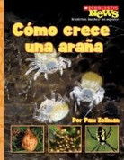 Como crece una araña - Spiderling Grows Up