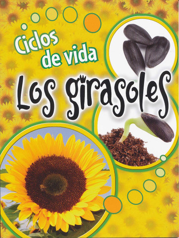 Ciclos de vida: Los girasoles - Life Cycles: Sunflowers