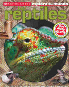 Los reptiles - Reptiles