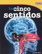 Los cinco sentidos - The Five Senses