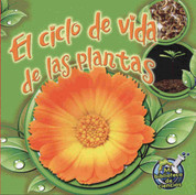 El ciclo de vida de las plantas - Plant Life Cycles