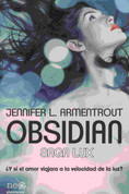 Obsidian - Obsidian