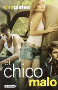 El chico malo - The Vincent Boys