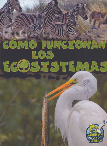 Cómo funcionan los ecosistemas - How Ecosystems Work