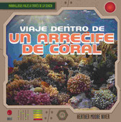 Viaje dentro de un arrecife de coral - A Trip Through a Coral Reef