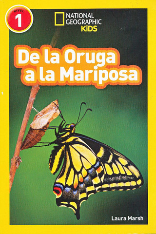 De oruga a mariposa - Caterpillar to Butterfly