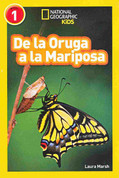 De oruga a mariposa - Caterpillar to Butterfly
