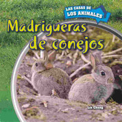 Madrigueras de conejos - Inside Rabbit Burrows