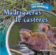 Madrigueras de castores - Inside Beaver Lodges