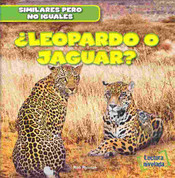 ¿Leopardo o jaguar? - Leopard or Jaguar?