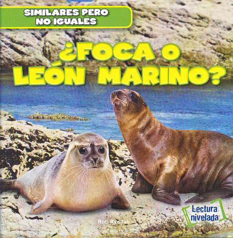¿Foca o león marino? - Seal or Sea Lion?