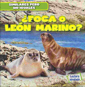 ¿Foca o león marino? - Seal or Sea Lion?
