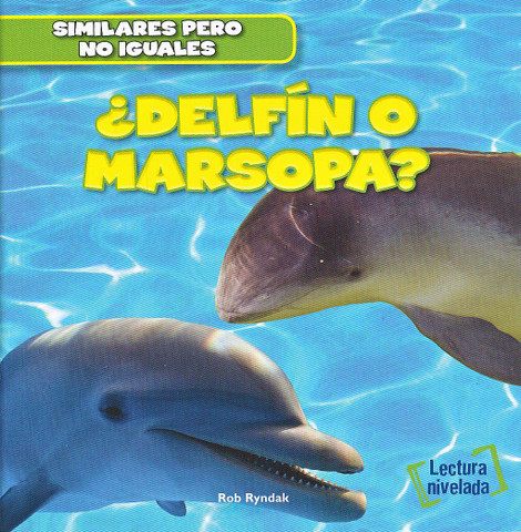 ¿Delfin o marsopa? - Dolphin or Porpoise?