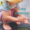 Las manos - Hands Can