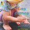 Las manos - Hands Can