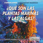 ¿Qué son las plantas marinas y las algas? - What Are Sea Plants and Algae?