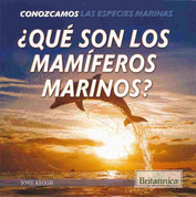 ¿Qué son los mamíferos marinos? - What Are Sea Mammals?