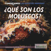 ¿Qué son los moluscos? - What Are Mollusks?