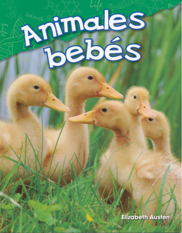 Animales bebés - Baby Animals