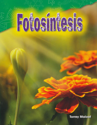 Fotosíntesis - Photosynthesis