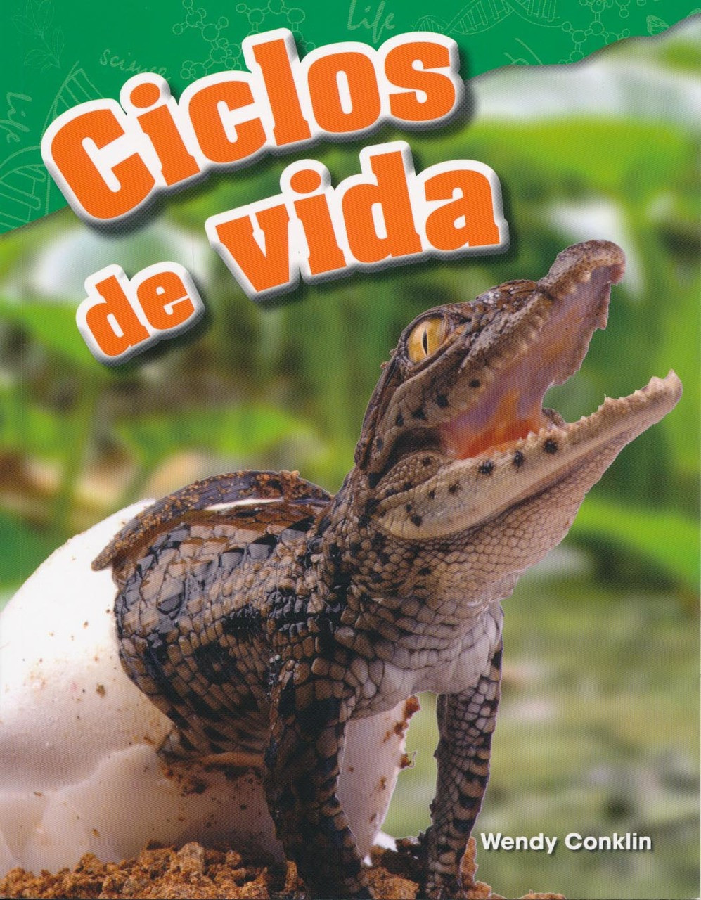 Ciclos De Vida (PB-9781425846756) - Life Cycles - Lectorum Publications ...