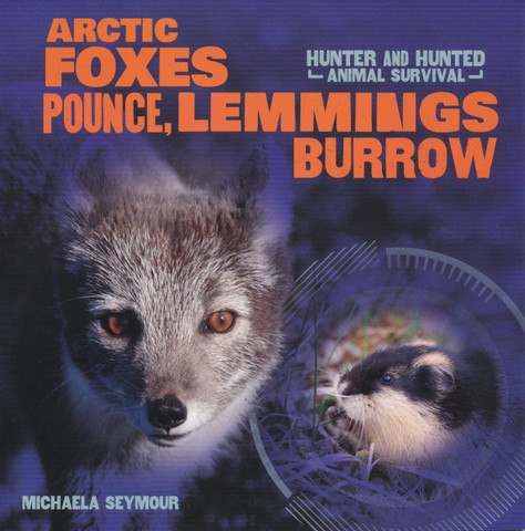 Artic Foxes Pounce, Lemmings Burrow