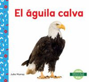 El águila calva - Bald Eagle