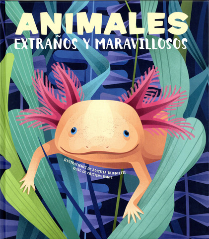 Animales extraños y maravillosos - Strange and Marvelous Animals