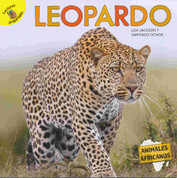 Leopardo - Leopard