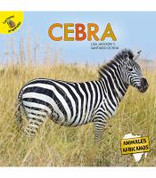 Cebra - Zebra