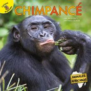 Chimpancé - Chimpanzee